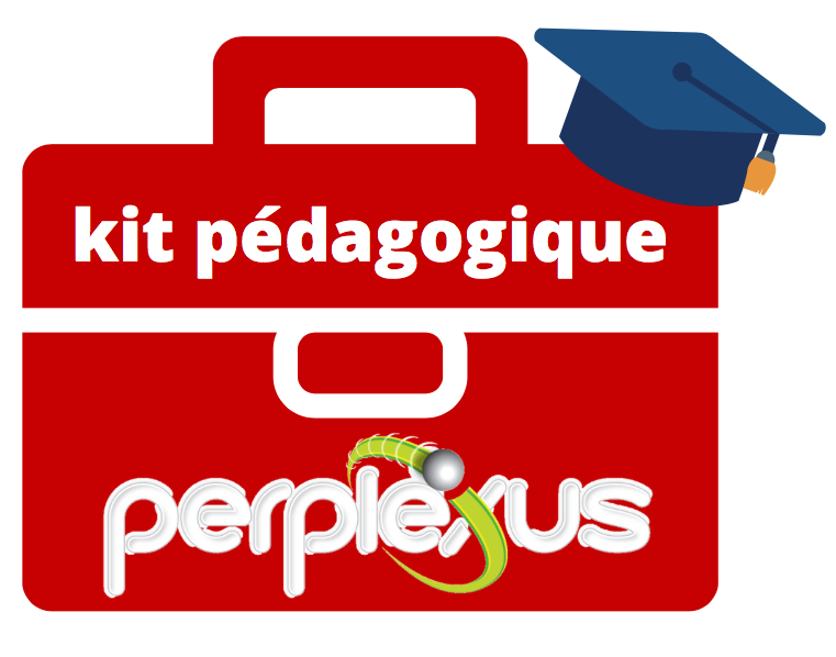 Kit pédagogique Perplexus